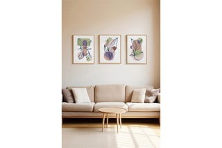 3 tableaux  - 33 x 48 cm