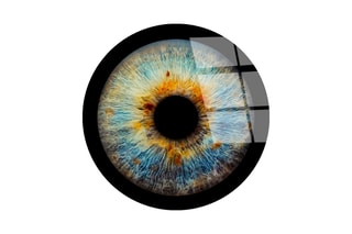 Impression sur verre trempé - 35 cm