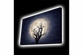 Tableau LED - 45 x 70 cm