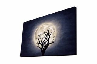 Tableau LED - 45 x 70 cm