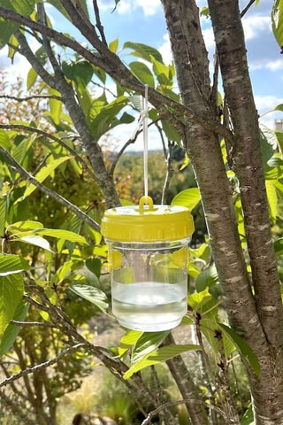 Piège à insectes - Jaune