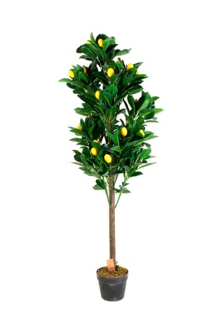 Citronnier artificiel - 16 x 16 x 125 cm