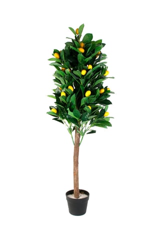 Citronnier artificiel - 16 x 16 x 125 cm