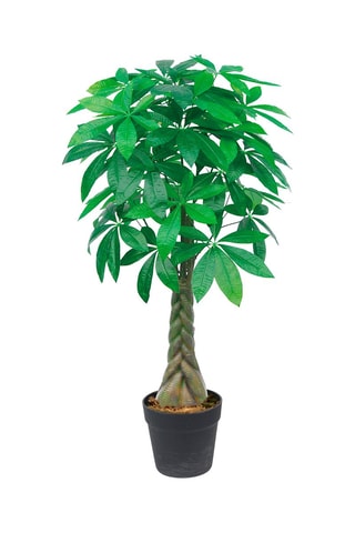 Plante artificielle pachira - 155 cm