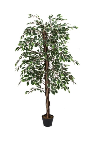 Plante artificielle en pot - Noir et vert - 160 cm