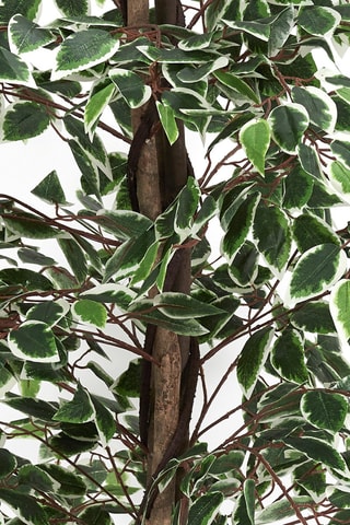 Plante artificielle en pot - Noir et vert - 160 cm