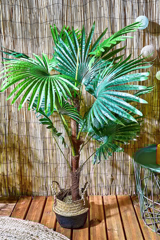 Plante artificielle palmier - 135 cm