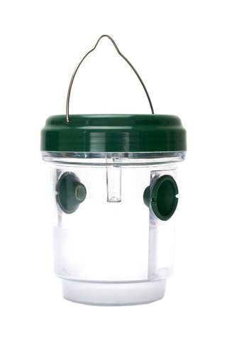 Anti-moustique solaire Vert et transparent