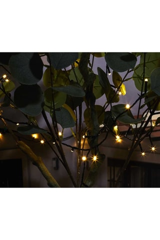 Guirlande LEDS
