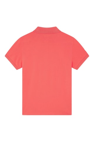 Polo - Koraalrood