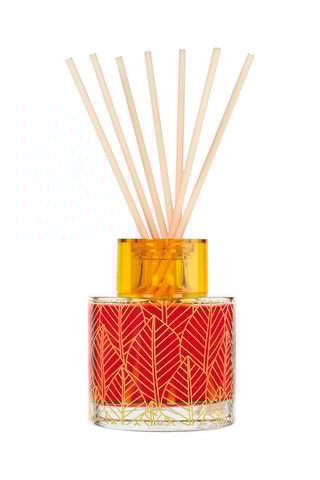 Bouquet parfumé Goatier 200 ml - Terre rouge