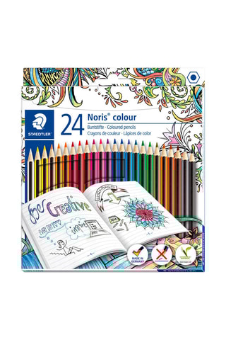 24 lápis de cor