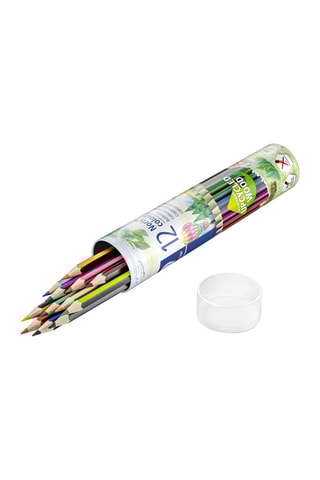 12 lápis de cor Noris®