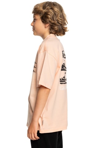 T-shirt en coton biologique - Rose - Quiksilver