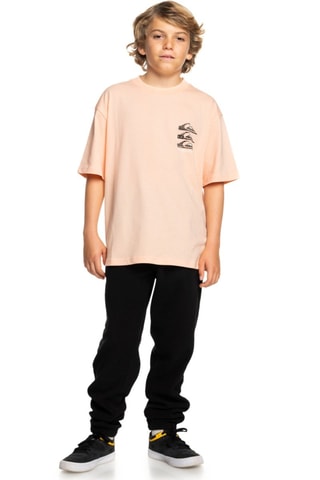 T-shirt en coton biologique - Rose - Quiksilver