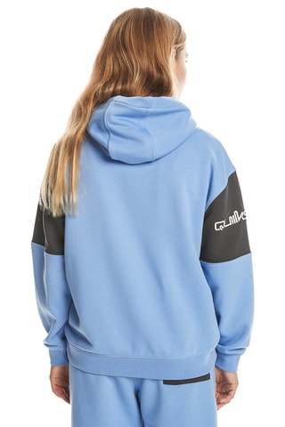 Sweat à capuche en coton biologique - Violet - Quiksilver
