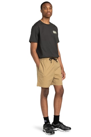 Short - Kaki - Element