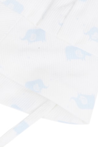 Hoed - Wit en Blauw - Absorba