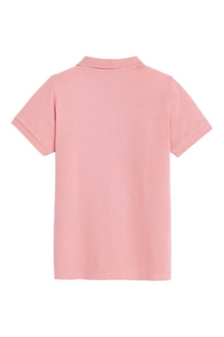 Polo - Roze - Obaïdi