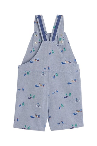 Tuinbroek Blauw - Absorba