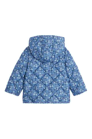 Gewatteerde Jas - Blauw - Obaïbi