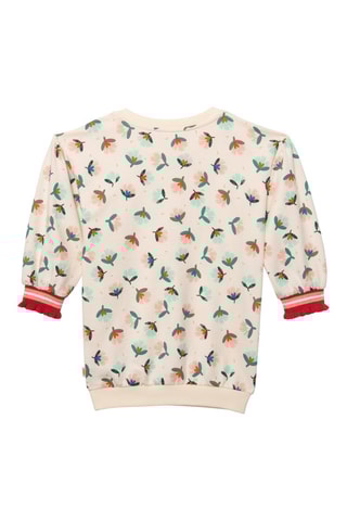 Sweater - Ecru - Catimini