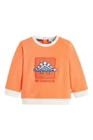 Sweater Zalmroze