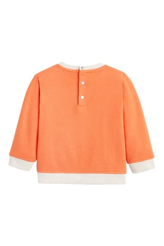 Sweater Zalmroze