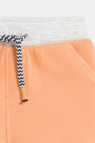 Short - Zalmroze