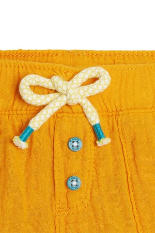 Short Mosterdgeel