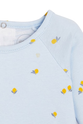 Pakje Blauw en Wit - Absorba