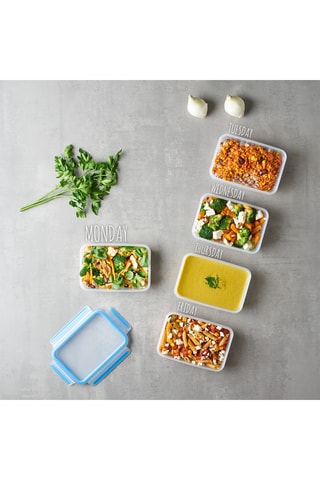 5 boîtes de conservation alimentaire Masterseal Fresh - 5 x 0,8 l