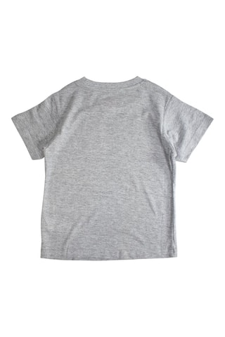 T-shirt - Cinzento e azul