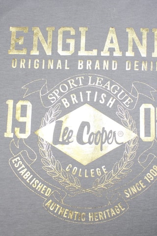 T-shirt - Cinzento e dourado