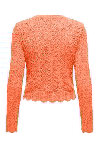 Pull - Orange