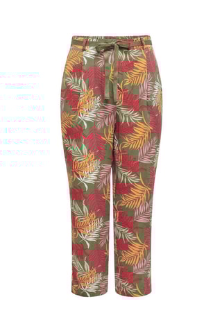 Pantalon - Kaki