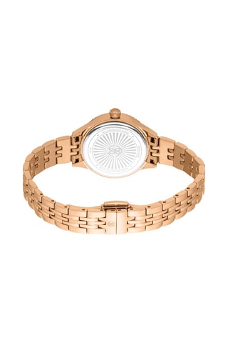 Montre à quartz en acier Fantasia - Doré rose et argenté
