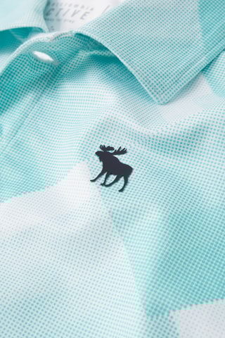 Polo - Verde-água