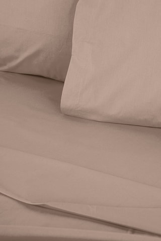 Drap plat en coton renforcé 145 fils/cm² Tonne Brune - Marron clair