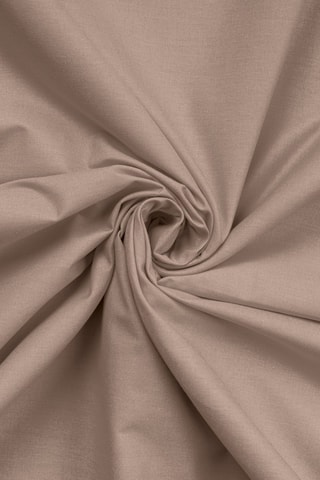 Drap plat en coton renforcé 145 fils/cm² Tonne Brune - Marron clair