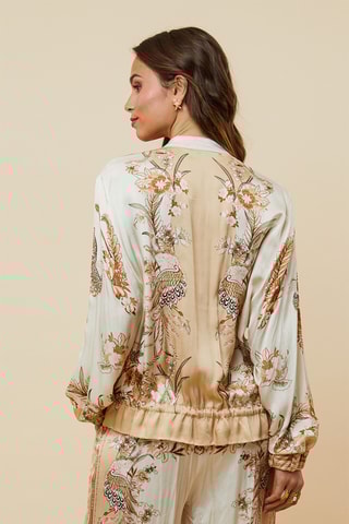 Jasje - Camel