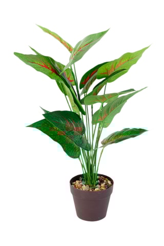 Plante artificielle en pot - 55 cm - Vert et rouge