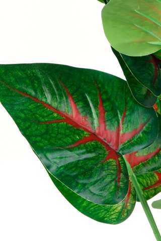 Plante artificielle en pot - 55 cm - Vert et rouge