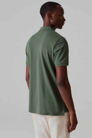 Polo - Groen