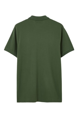 Polo - Groen