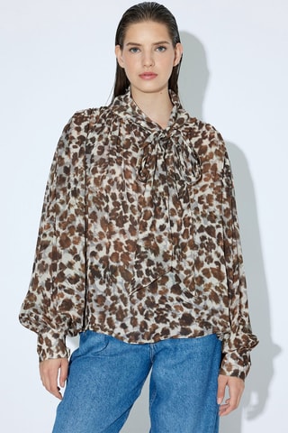 Top - Bruin