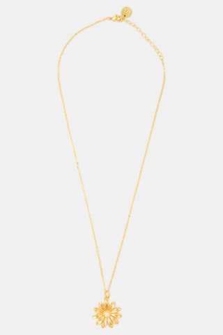 Colar - Dourado