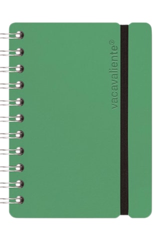 Spiraalschrift - 80 Pagina's - Lichtgroen - 12,5 x 15 x 1,5 cm