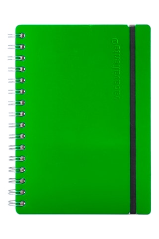 A5-Spiraalschrift - 80 Pagina's - Lichtgroen - 16,5 x 21,5 x 2 cm