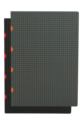 2 Lijntjesschriften - 80 Pagina's - Willekeurige Kleur - 21 x 29,7 cm